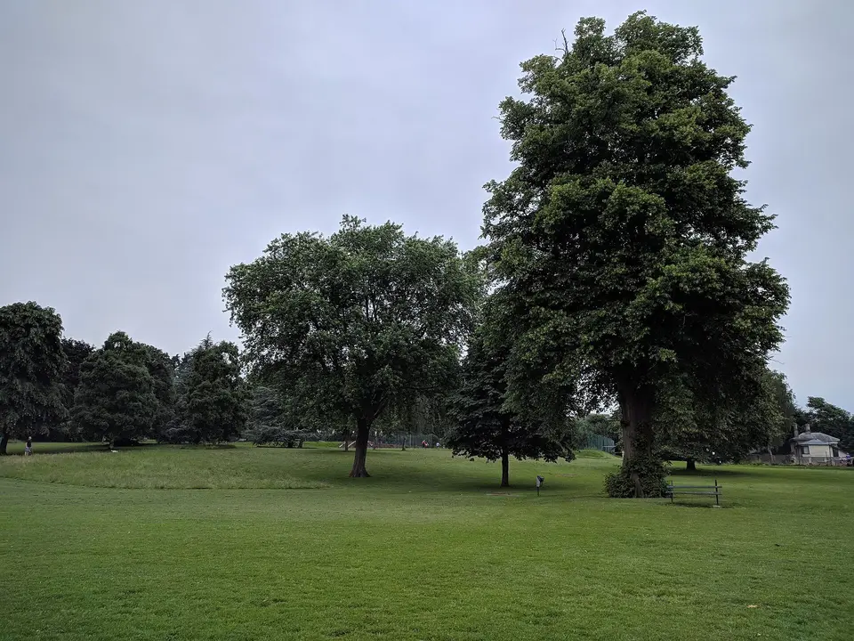 Open grass and tall trees in Alice Park, Bath